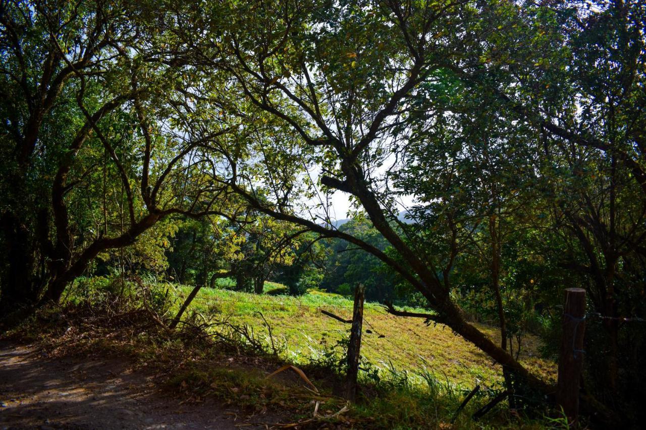 Cabanas Lys Monteverde Zewnętrze zdjęcie