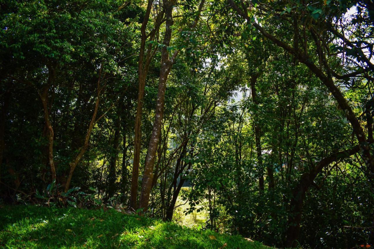 Cabanas Lys Monteverde Zewnętrze zdjęcie