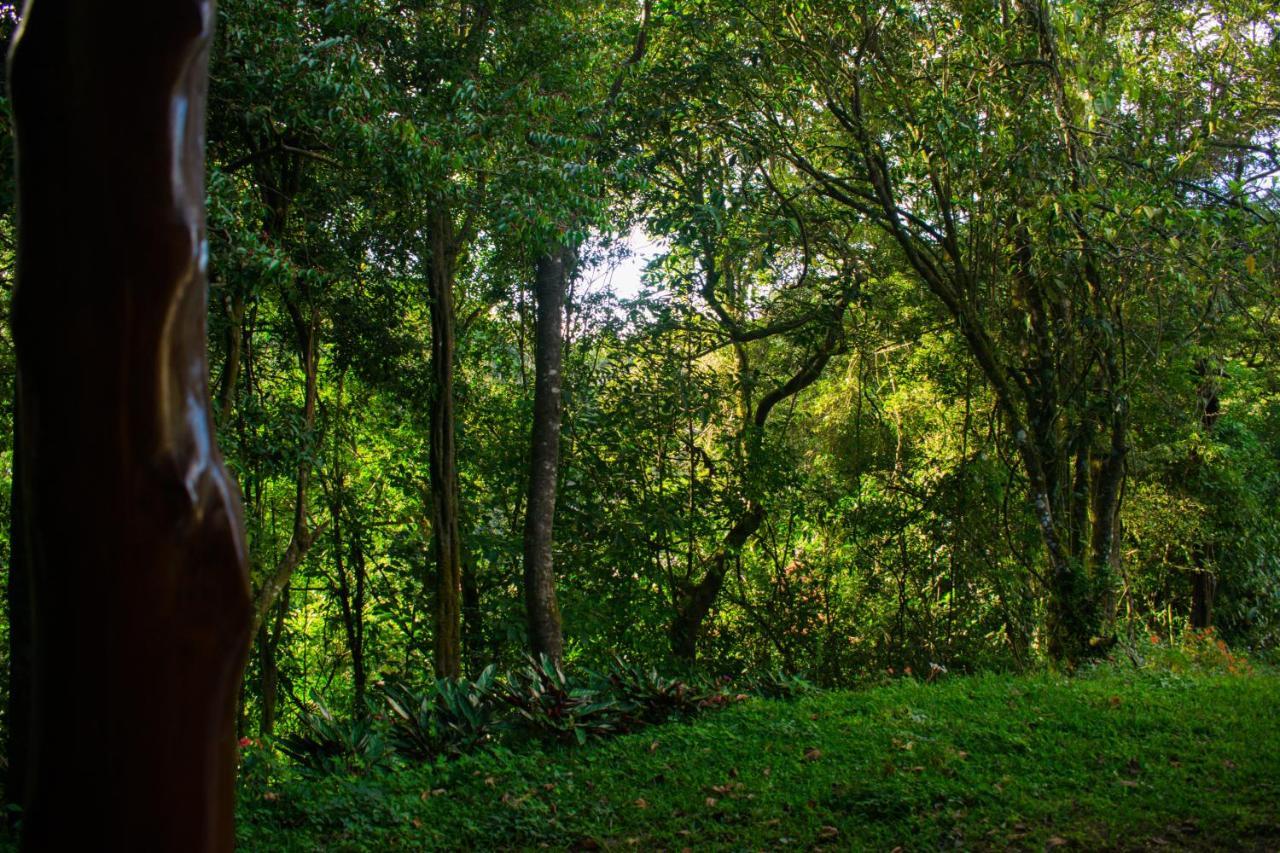 Cabanas Lys Monteverde Zewnętrze zdjęcie